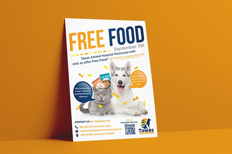 brochure-flyers-sample-1